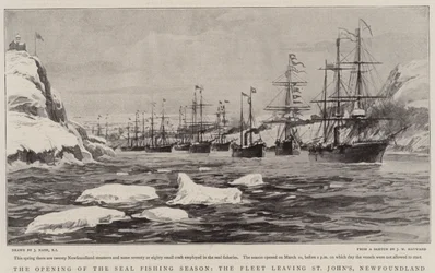 Åbningen af sælfiskesæsonen, flåden forlader St John